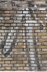 Photo Textures of Wall Bricks